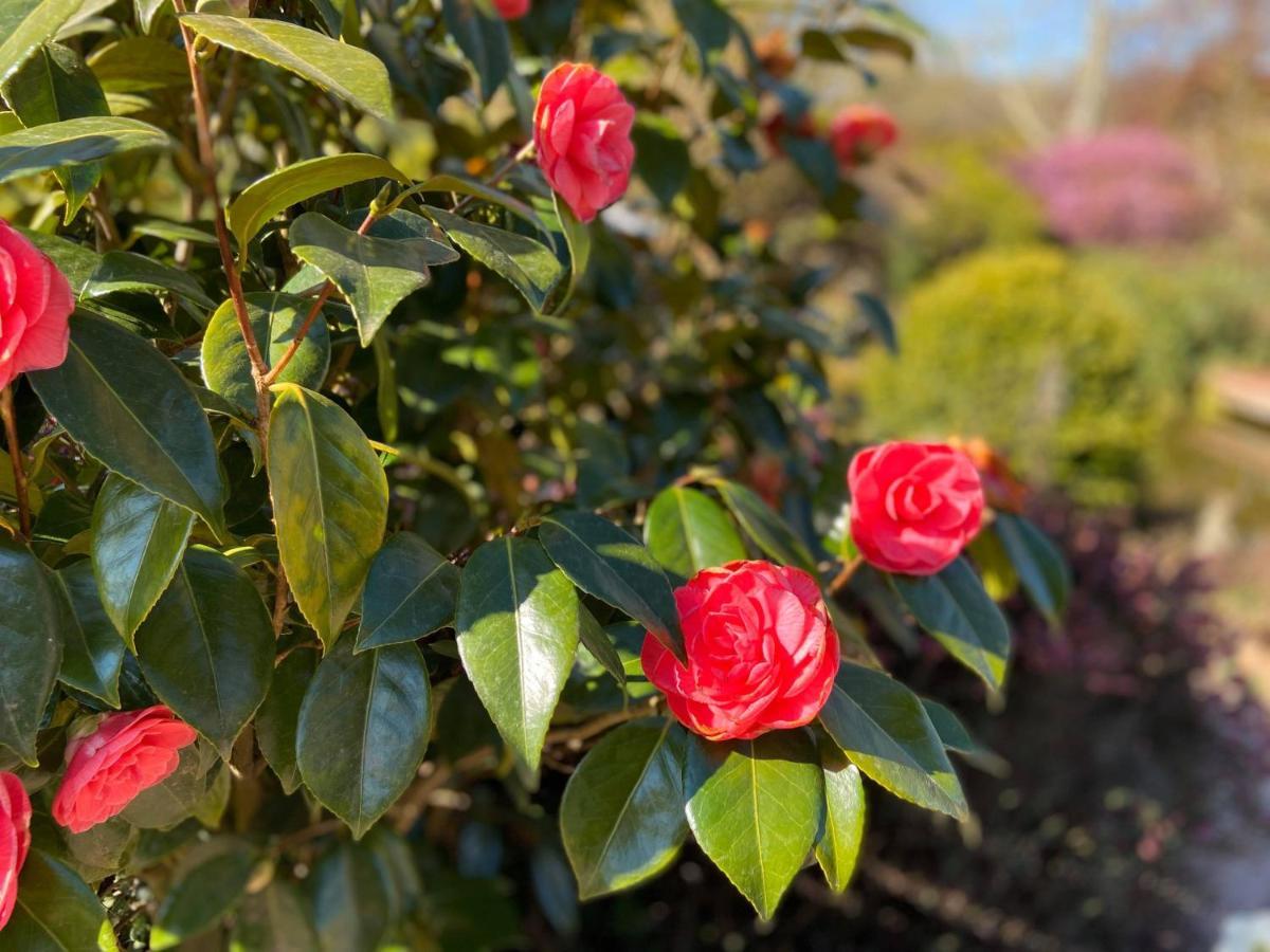 Gite "Cote Jardin" Vannecrocq Exteriér fotografie