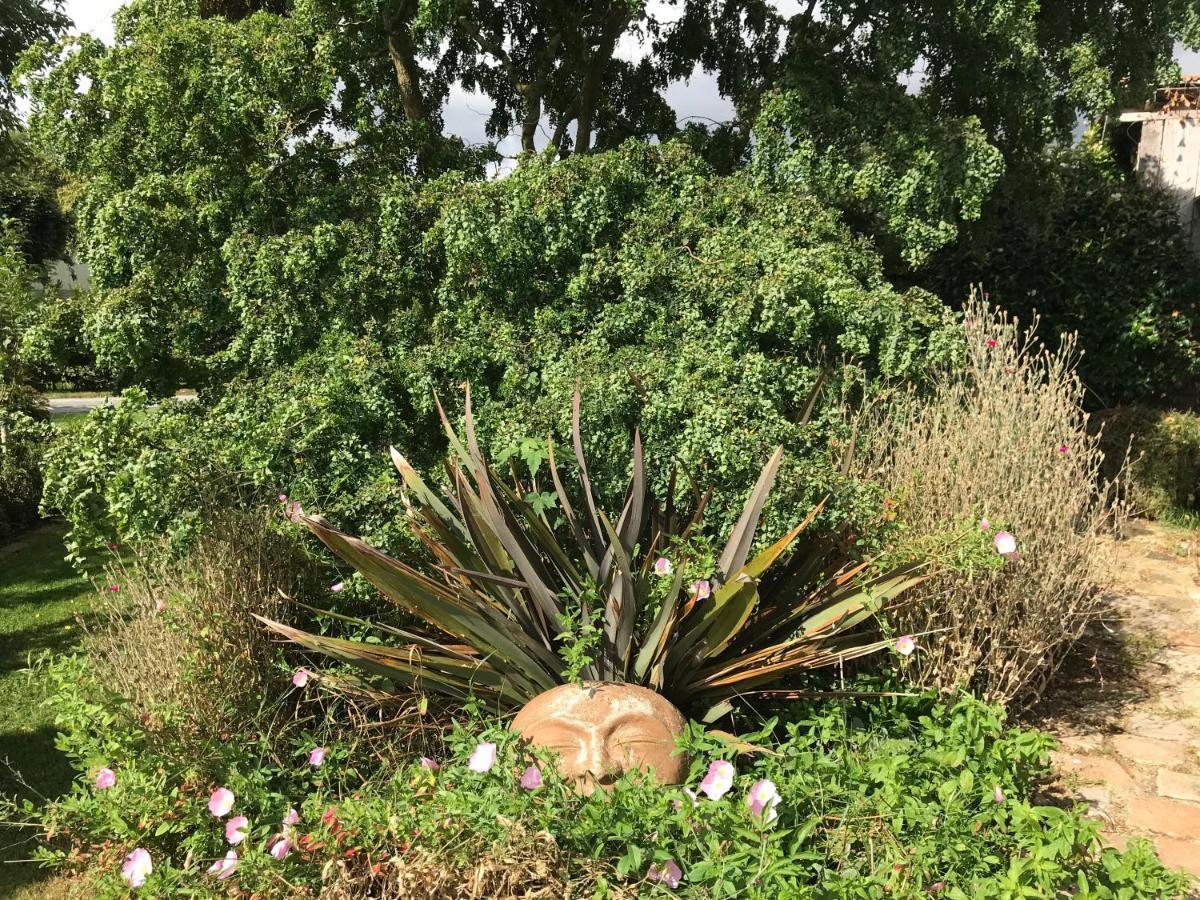 Gite "Cote Jardin" Vannecrocq Exteriér fotografie