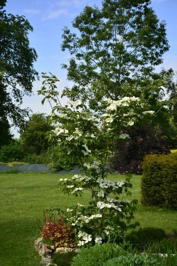 Gite "Cote Jardin" Vannecrocq Exteriér fotografie